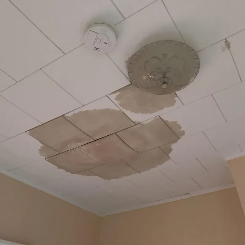 Ceiling Water Damage Repair in Washington Mills, NY